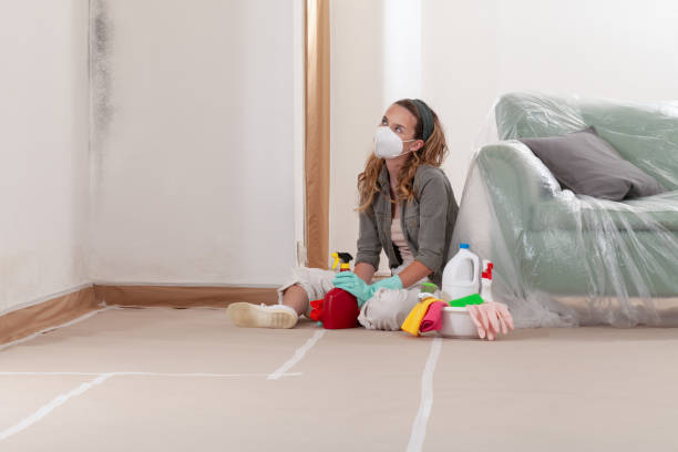 Reliable Mold Inspection contractor in Glenelg, MD by WQB Mold Removal